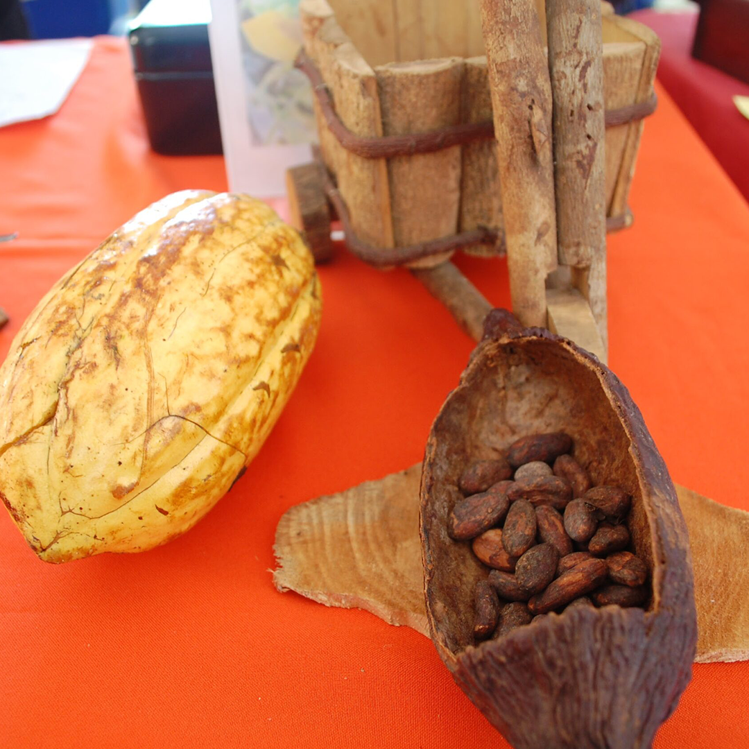 Cocoa Pods Patriotic TT Shop Local
